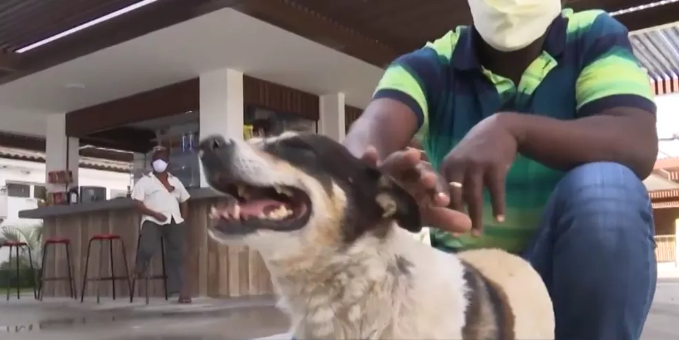 Boby espera por dono há quase três anos em hospital de Feira de Santana — Foto: Reprodução/TV Subaé