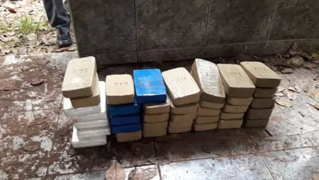Policiais apreenderam pasta base de cocaína e outras drogas no sítio usado pelos suspeitos em Jaci, interior de São Paulo Policiais apreenderam pasta base de cocaína e outras drogas no sítio usado pelos suspeitos em Jaci, interior de São Paulo