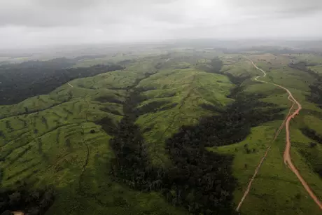 Vista aérea de área desmatada da Amazônia em Altamira 11/09/2019 REUTERS/Nacho Doce Vista aérea de área desmatada da Amazônia em Altamira 11/09/2019 REUTERS/Nacho Doce
