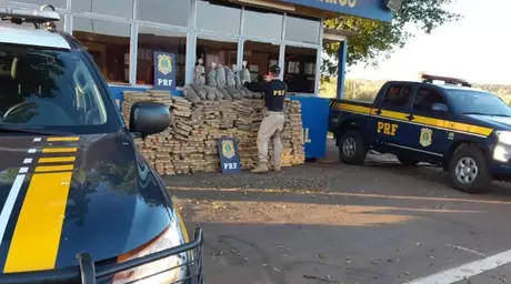 Quase 1 tonelada de maconha foi apreendida em falso ônibus escolar no Paraná Quase 1 tonelada de maconha foi apreendida em falso ônibus escolar no Paraná