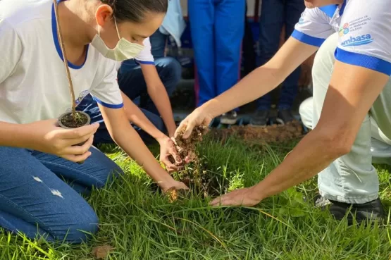 Para comemorar o Dia do Meio Ambiente Embasa realiza plantio de 750 mudas de árvores  no  extremo sul 