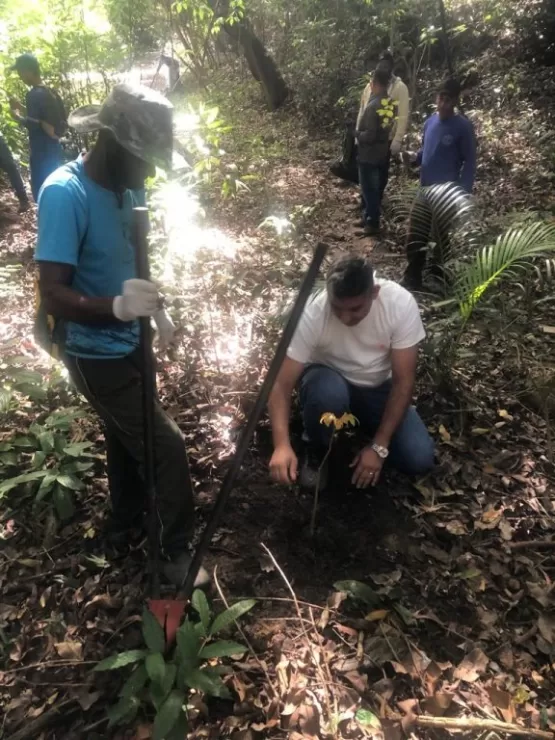 Mês do Meio Ambiente: Prefeitura realiza mutirão de limpeza das nascentes do Córrego Charqueada