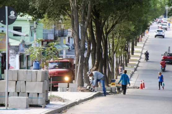 Prefeitura de Teixeira realiza processo de revitalização de canteiros da Avenida Padre Anchieta