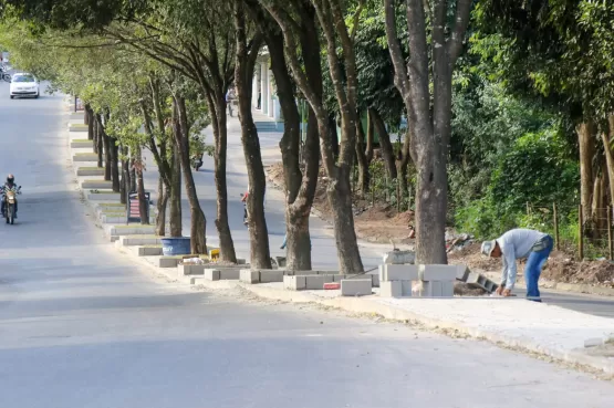 Prefeitura de Teixeira realiza processo de revitalização de canteiros da Avenida Padre Anchieta