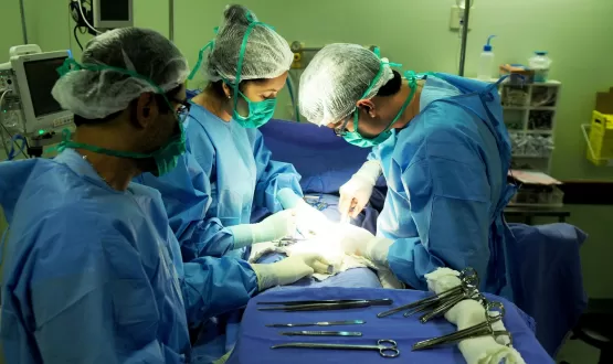 Saúde zera fila de cirurgia de vesícula em Mucuri; mais de 130 procedimentos foram realizados