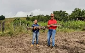 Prefeitura de Teixeira implementa mais uma unidade demonstrativa do PAT da Mandiocultura