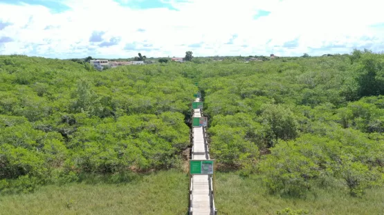 Preservação da Mata Atlântica é discutida na 1ª Oficina Participativa Planos da Mata em Mucuri