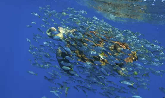 Brasil lançará sistema de monitoramento do Oceano Atlântico