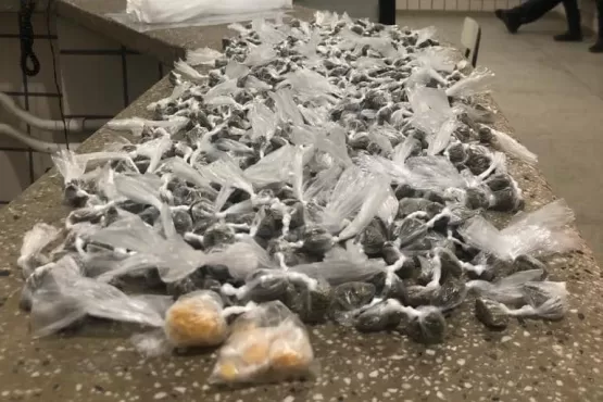 PM apreende 639 papelotes de maconha e crack em Teixeira de Freitas