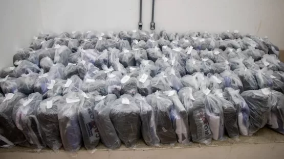 Agentes de Combate às Endemias – ACE recebem mais equipamentos de trabalho, em Teixeira