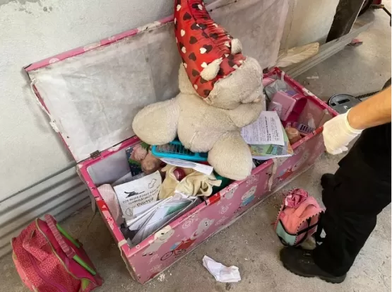 Tia abusa sexualmente da sobrinha de 9 anos, filma crime e vende vídeos, diz polícia