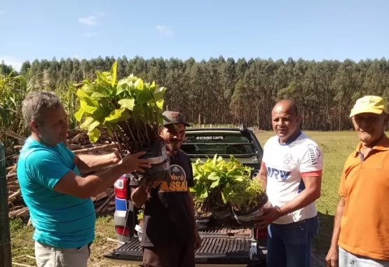 Produtores serão beneficiados com a distribuição de mudas para restauração da nascente do Rio Mucuri