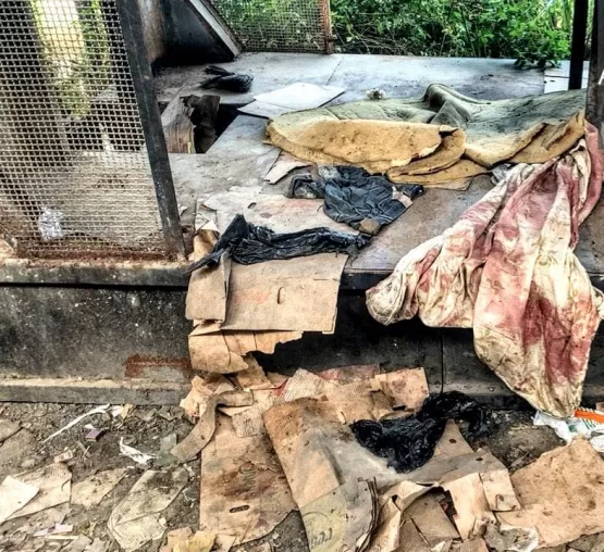 Morador de rua morre dentro de ambulância do SAMU após ser espancado em Teixeira de Freitas; Policia Civil prende em flagrante um dos autores