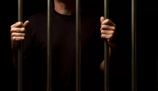 PC de Alcobaça prende em flagrante homem que descumpriu Medida Protetiva contra sua mãe
