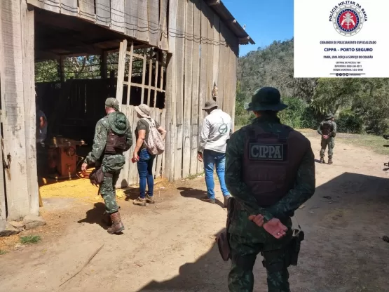 Três serrarias são fechadas acusadas de crime ambiental na Bahia 