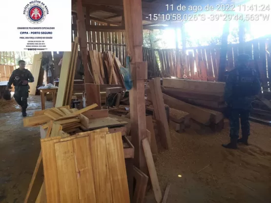 Três serrarias são fechadas acusadas de crime ambiental na Bahia 