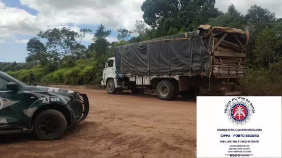 Três serrarias são fechadas acusadas de crime ambiental na Bahia 
