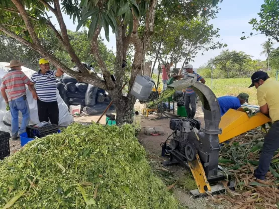 Prefeitura de Teixeira realiza curso sobre produção de silagem de milho na comunidade Arara