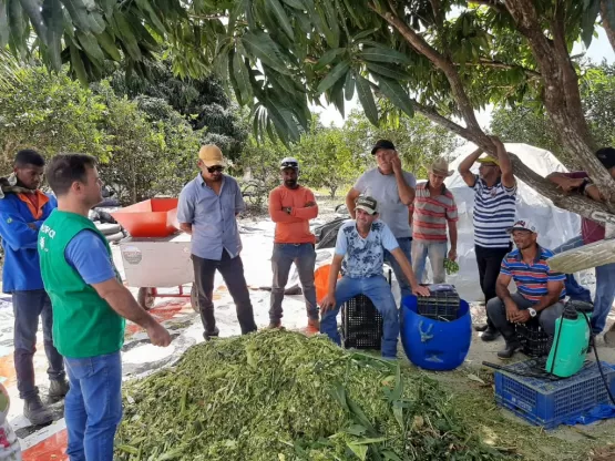 Prefeitura de Teixeira realiza curso sobre produção de silagem de milho na comunidade Arara