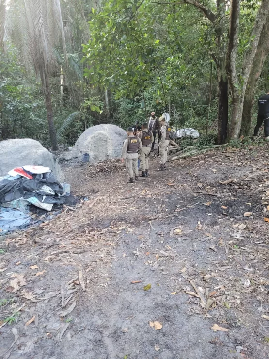 Polícia deflagra Operação “Madeira Legal” para combater o furto de madeira para produção de carvão no interior de Caravelas