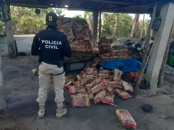 Polícia deflagra Operação “Madeira Legal” para combater o furto de madeira para produção de carvão no interior de Caravelas