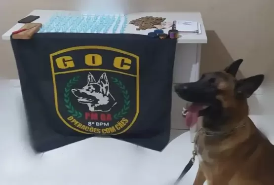 Cão policial do 8° BPM auxilia na apreensão de drogas, em Porto Seguro
