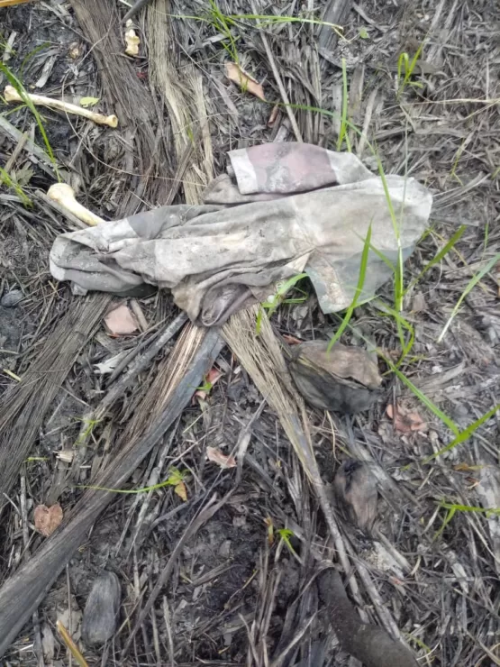 Ossada humana é encontrada em praia de Caravelas 