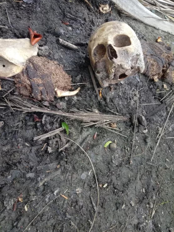Ossada humana é encontrada em praia de Caravelas 