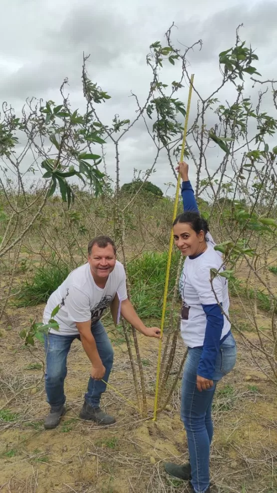 Servidores da secretaria de Agricultura de Teixeira de Freitas fazem  avaliação de unidade demonstrativa do PAT Mandiocultura na comunidade Córrego do Marimbondo