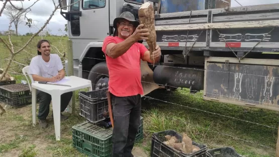 Servidores da secretaria de Agricultura de Teixeira de Freitas fazem  avaliação de unidade demonstrativa do PAT Mandiocultura na comunidade Córrego do Marimbondo