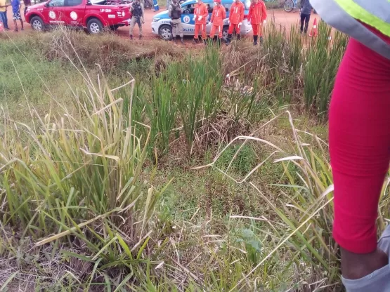 Mulher com garganta cortada tem corpo jogado dentro de brejo às margens da BR-101 , em Teixeira de Freitas