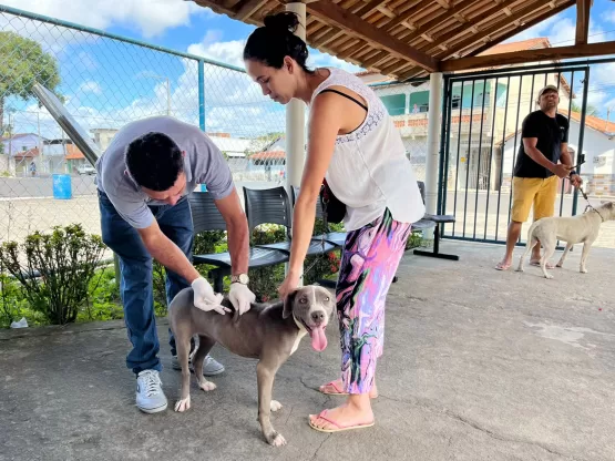 Vigilância Sanitária realiza Dia D da Vacinação antirrábica nas Unidades de Saúde de Mucuri e Itabatã