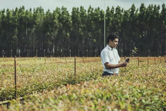 Suzano lança desafio para fornecedores em busca de alternativas ao consumo do plástico