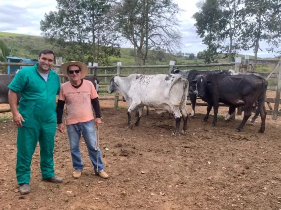 Prefeitura de Teixeira realiza assistência veterinária próximo à estrada do Piatã