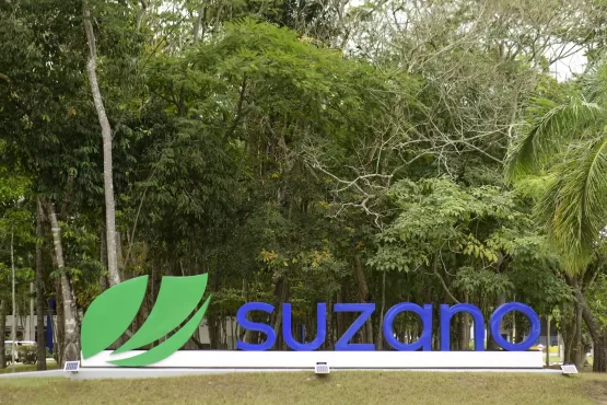 Suzano está com inscrições abertas para o  Programa de Estágio Superior 2023