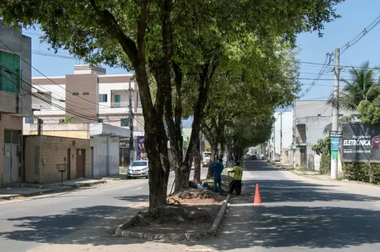 Prefeitura de Teixeira de Freitas efetua serviço de revitalização de canteiros da Avenida Kaikan