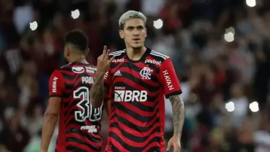 Pedro chega a 100 gols na carreira em melhor fase pelo Flamengo; veja números