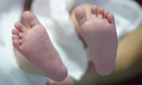 Bebê morre após ser atingido por celular que pai jogou na esposa durante discussão