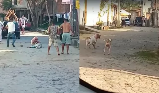 Homem fica ferido após ser atacado por cão da raça pitbull na rua, no interior da Bahia