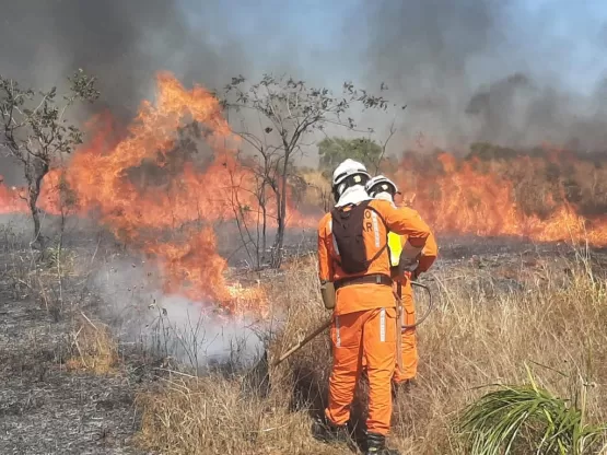 Operação de prevenção e combate aos incêndios florestais ganha reforço de novos bombeiros militares 