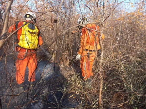 Operação de prevenção e combate aos incêndios florestais ganha reforço de novos bombeiros militares 