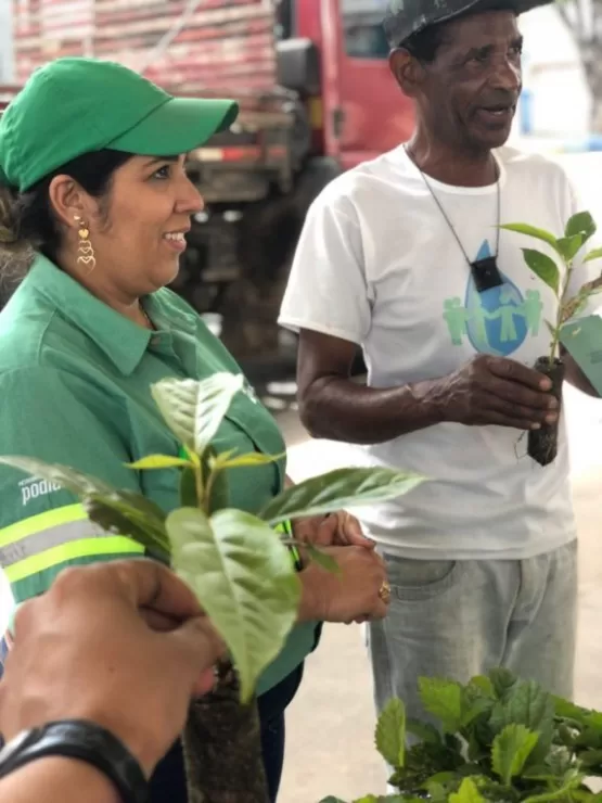 Drive thru de mudas nativas assegura a preservação ambiental em Teixeira de Freitas; saiba onde foi realizada a ação