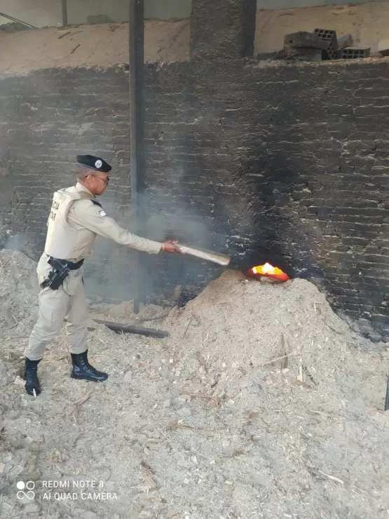 Com apoio da PM, polícia civil  inciner de 104 quilos de drogas em Teixeira de Freitas