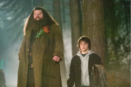 Ator Robbie Coltrane, o Hagrid de Harry Potter, morre aos 72 anos