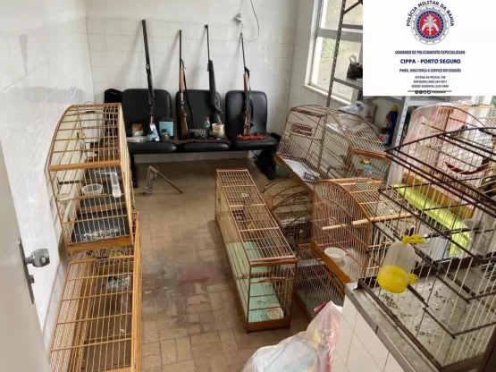 CIPPA/Porto Seguro apreende armas de fogo, munições e materiais usados na caça ilegal de animais silvestres.