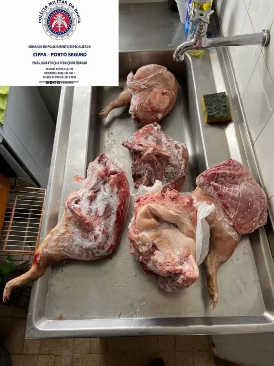 CIPPA/Porto Seguro apreende armas de fogo, munições e materiais usados na caça ilegal de animais silvestres.