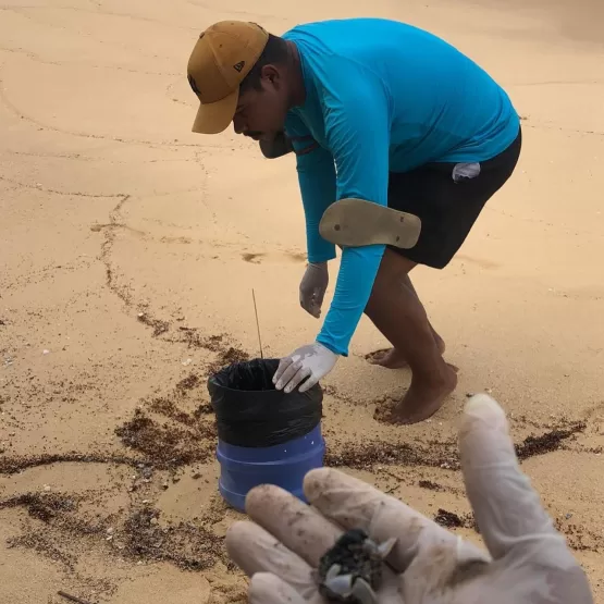 Prefeitura emite Nota de Esclarecimento sobre o ressurgimento de fragmentos de óleo na praia de Alcobaça