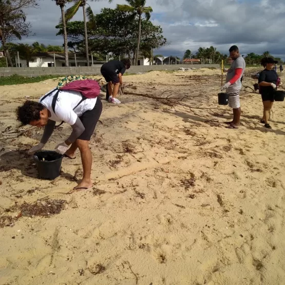 Prefeitura emite Nota de Esclarecimento sobre o ressurgimento de fragmentos de óleo na praia de Alcobaça