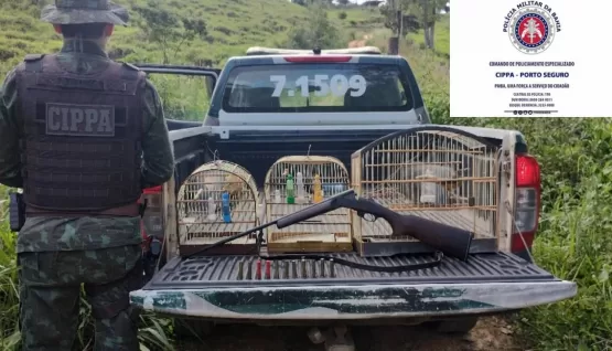 PMs da CIPPA/PS apreende armas de fogo e resgatam aves silvestres em situação de cativeiro ilegal na zona rural de Pau Brasil