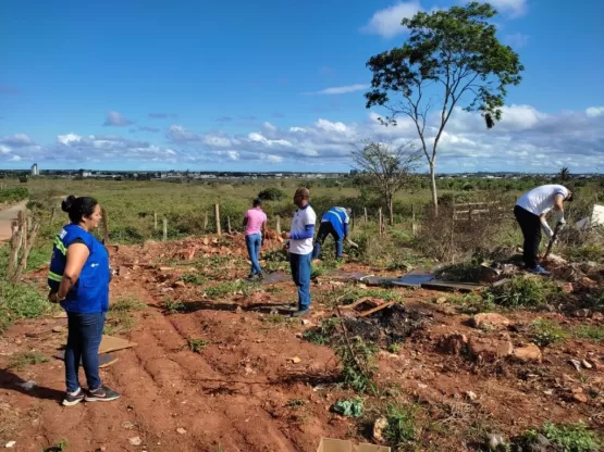 Espécimes de escorpiões são encontrados em bairro de Teixeira de Freitas; saiba como notificar casos